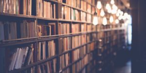 janko-ferlic-sfL_QOnmy00-unsplash